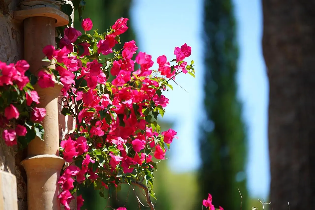 Can Boyet Villa Port de Pollenca Spain